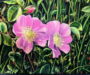 Margery Blom - Oil Painting - "Wild Roses" 11" x 14" - Margery Blom - Painting - McMillan Arts Centre & MAC Box Office