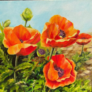 Margery Blom - Oil Painting - "Orange Poppies" 12" x 12"