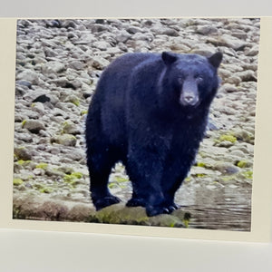 Nancy Butler - Card - Black Bear by Nancy Butler - McMillan Arts Centre - Vancouver Island Art Gallery