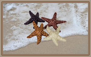 Ponderosa Designs - Pottery - Sea Star ornament, 2.7"